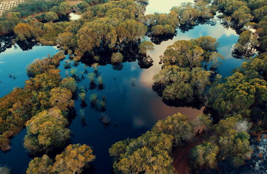 Preserving Biodiversity in Protected Habitats