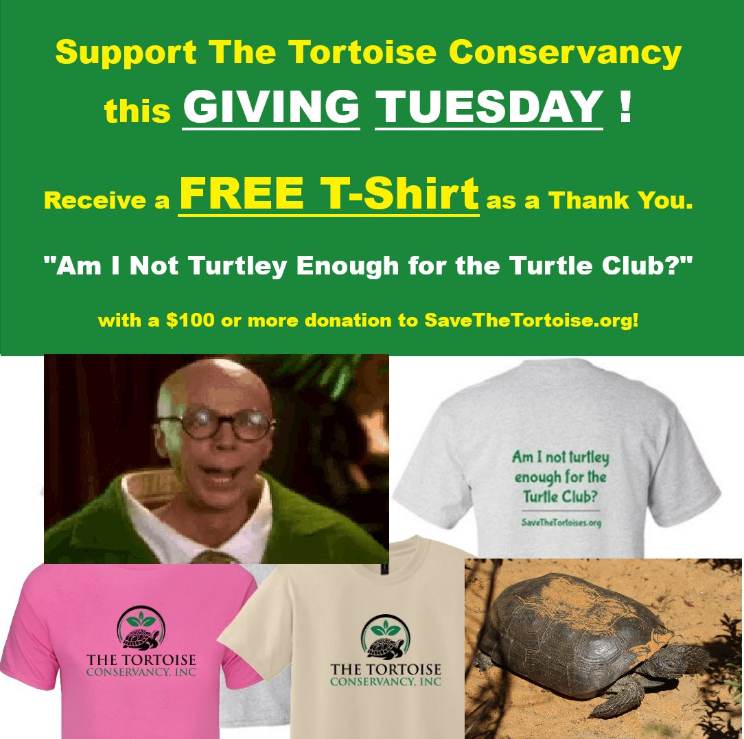 Giving Tuesday Support | "Turtley Enough?" t-shirt fundraiser