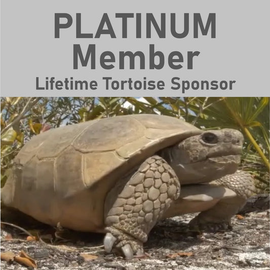 D) PLATINUM Lifetime Member & Tortoise Sponsorship