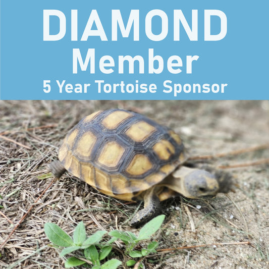 B) DIAMOND Member 5 Year Tortoise Sponsorship