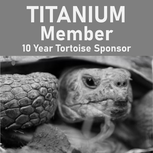 C) TITANIUM Member 10 Year Tortoise Sponsorship