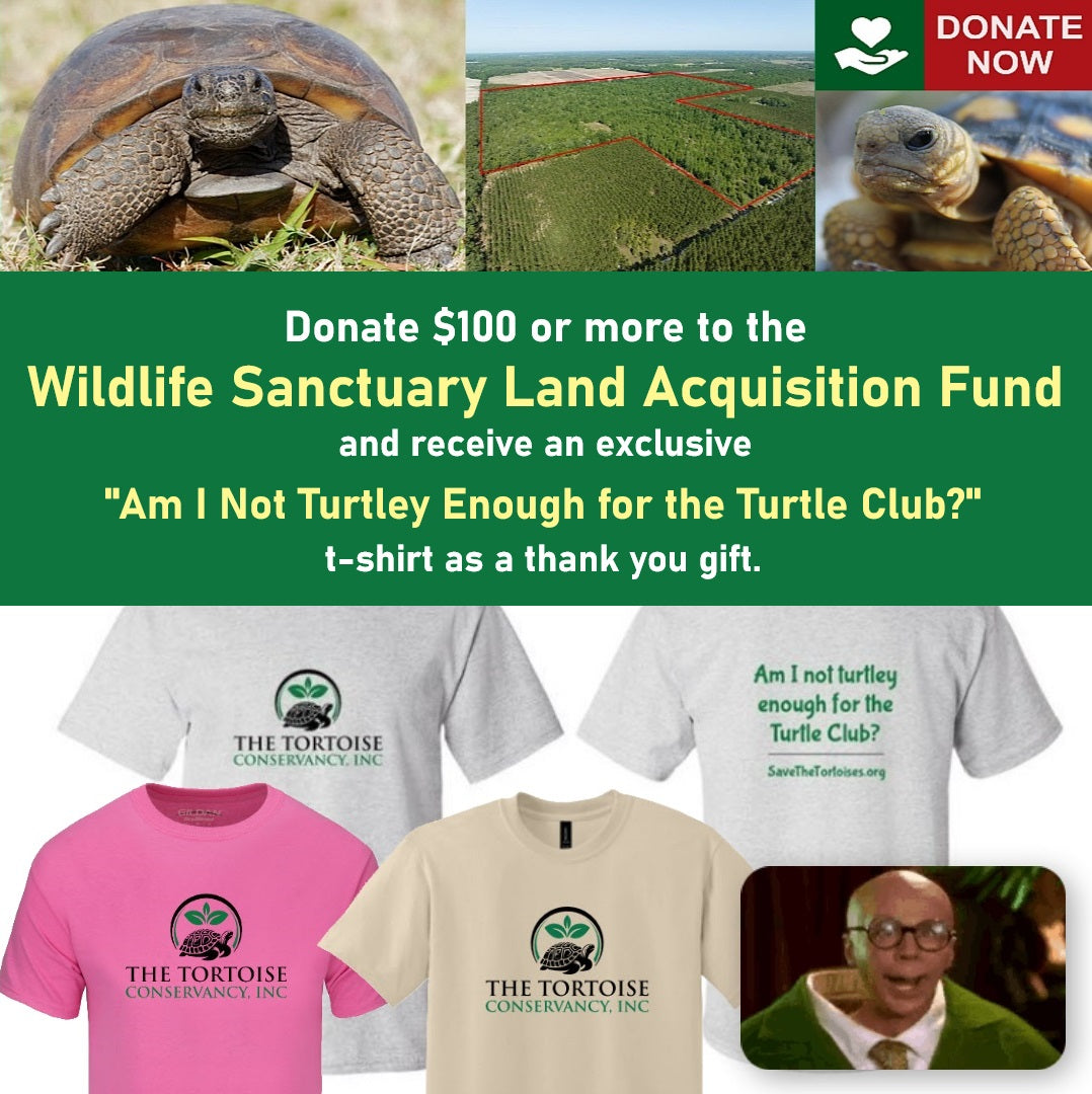 Wildlife Sanctuary Land Acquisition Fund | "Turtley Enough?" t-shirt donation challenge