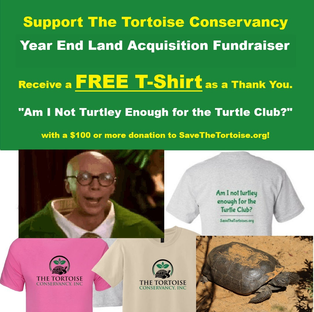 Year End Support | "Turtley Enough?" t-shirt fundraiser
