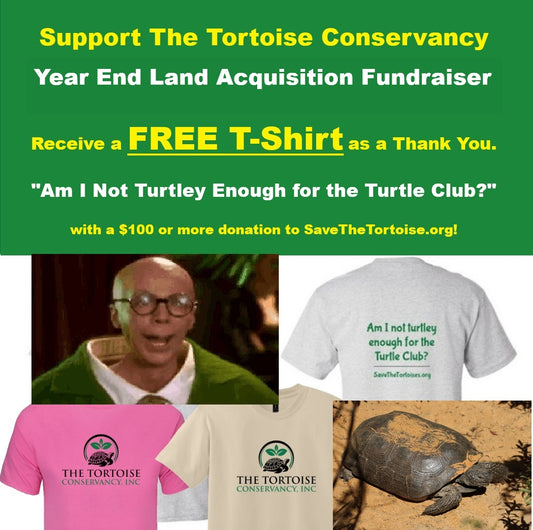 Year End Support | "Turtley Enough?" t-shirt fundraiser